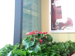 -山姆大叔(水韵城店)