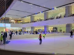 -TheRink大零溜冰场(IFS国金中心店)