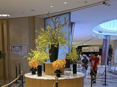 -亚特兰蒂斯-番红花海鲜自助餐厅·鲜活海鲜·小火锅