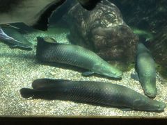 -太平洋海底世界