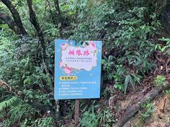 -东莞观音山旅游风景区