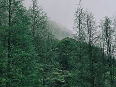 -广州市石门国家森林公园