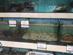 水产区-秋姐美食店(旅游大道店)