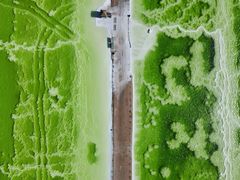 -察尔汗盐湖