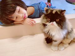 -瞄一喵猫咖(格力海岸店)