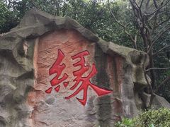 -杭州黄龙洞