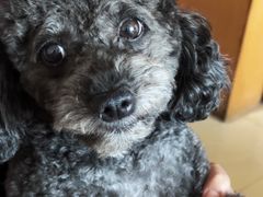 -复旦大学枫林校区-学生食堂