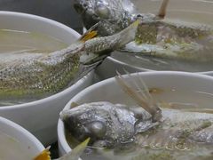 -顺和隆炖罐