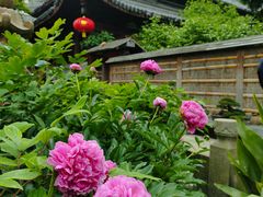 -龙华寺