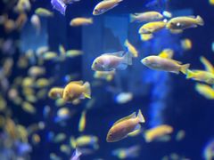 -成都浩海立方海洋公园