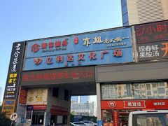 -温鉴良实用咏春拳