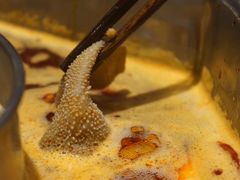 -蜀九香火锅(九眼桥店)