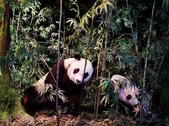 -天津自然博物馆