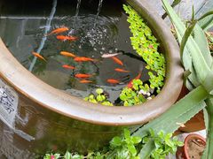 -伊隆斋(什刹海店)