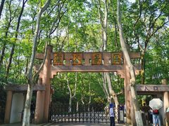 -灵谷景区