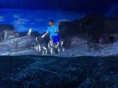 -暹罗海洋世界