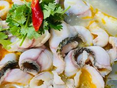 -大鼎石锅鱼(春江里店)