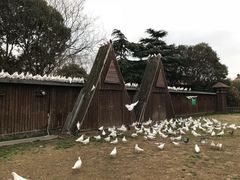 -上海野生动物园