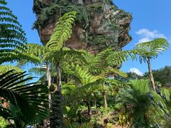 阿凡达-奥兰多迪士尼动物王国乐园