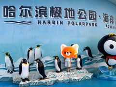 -哈尔滨极地公园