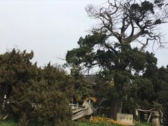 景点-司徒庙