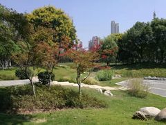 -后襄河公园