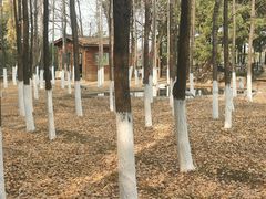 -艾溪湖湿地公园