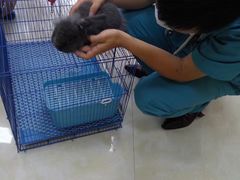 -仁华宠物医院(青羊店)