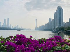 -珠江夜游广州塔·中大码头