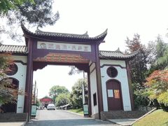 -铁山坪森林公园