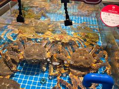 -连鹭海鲜·海肠捞饭·海胆饭(星海店)