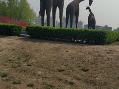 -莲花池公园