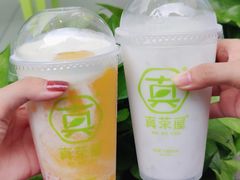 -真茶屋·0奶精(街道口一店)