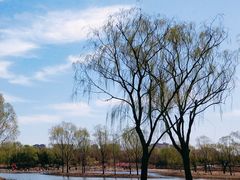 -大兴滨河森林公园