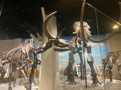 -国家自然博物馆