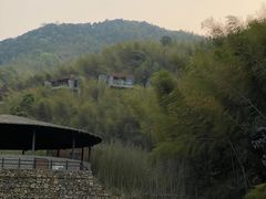-宁海安岚·南溪阁全日餐厅