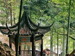 -藏龙百瀑风景区