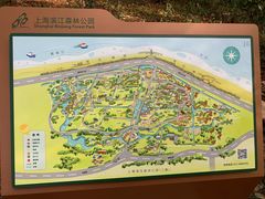 -上海滨江森林公园