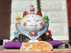 -平行世界·猫咖(首经贸店)