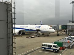 -全日本空输株式会社(上海办事处)