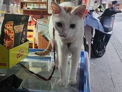 -海宝酒家(中山四路店)