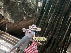 -寻龙山风景旅游区