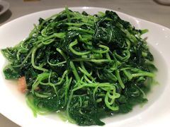 上汤蒜子泡苋菜-利苑酒家(华熙国际店)