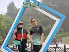 -铁山坪森林公园