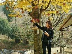 android_upload_pic-杭州天目山静雅居农家乐