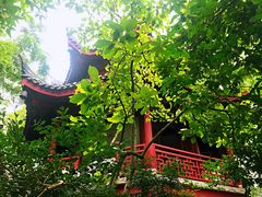 -汇龙潭