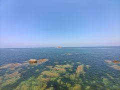 -养马岛旅游度假区