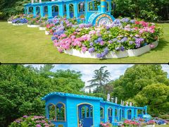 -上海滨江森林公园