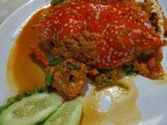 -Jungle Kitchen