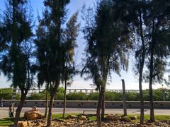 -宝安西湾红树林湿地公园